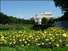 Imperial Palace Garden